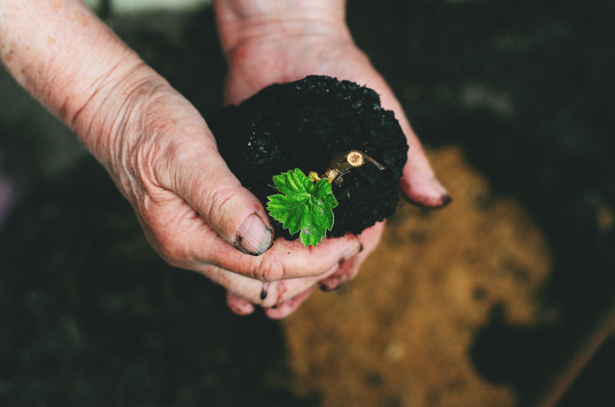 Sustainability background
